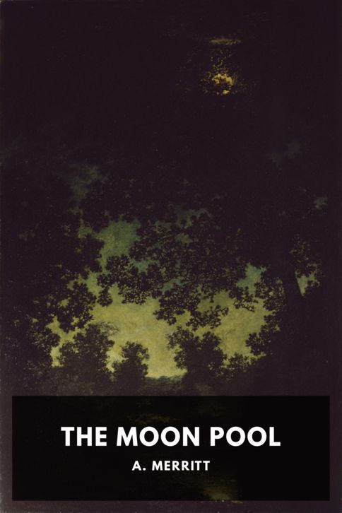 Typing practice book cover: The Moon Pool