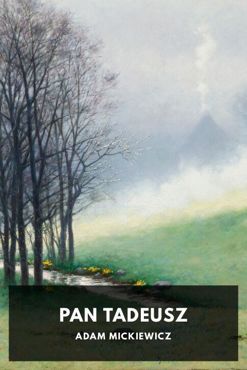 Typing practice book cover: Pan Tadeusz