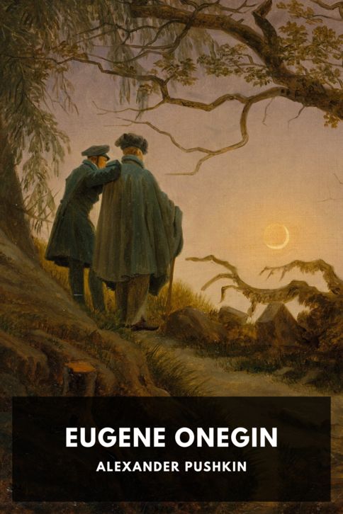 Typing practice book cover: Eugene Onegin