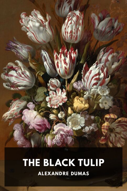 Typing practice story cover: The Black Tulip