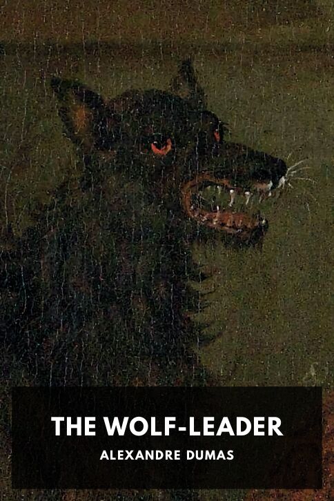 Typing practice book cover: The Wolf-Leader