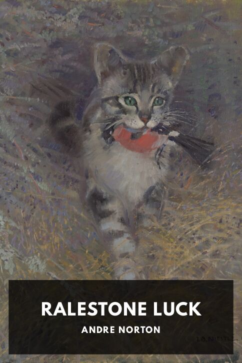 Typing practice story cover: Ralestone Luck