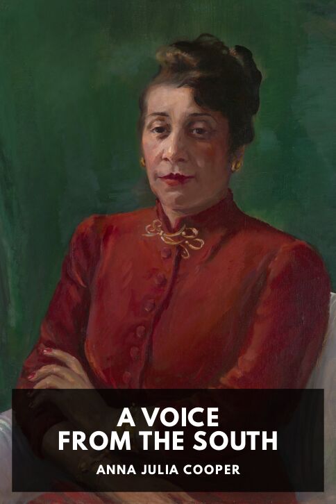Typing practice story cover: A Voice from the South