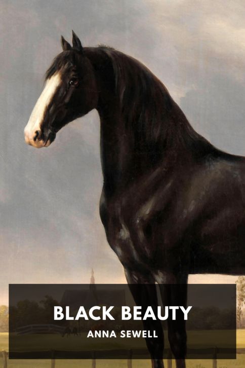 Typing practice book cover: Black Beauty