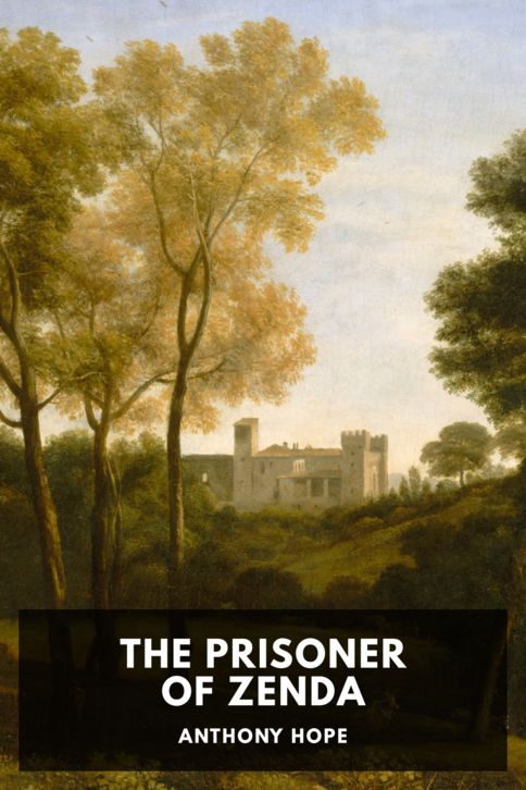 Typing practice story cover: The Prisoner of Zenda