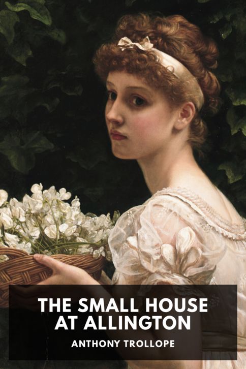 Typing practice book cover: The Small House at Allington