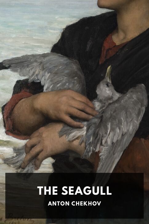 Typing practice book cover: The Seagull