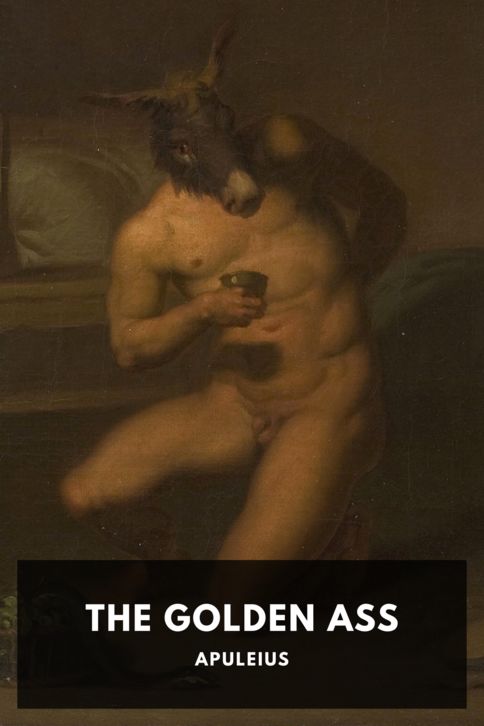 Typing practice story cover: The Golden Ass