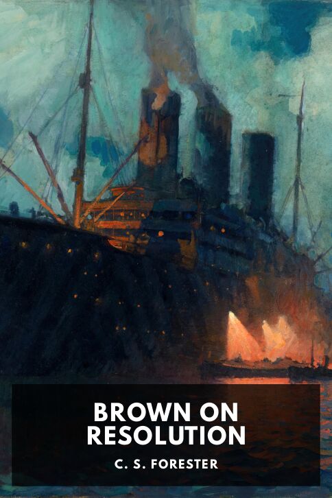 Typing practice story cover: Brown on Resolution