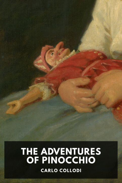 Typing practice book cover: The Adventures of Pinocchio