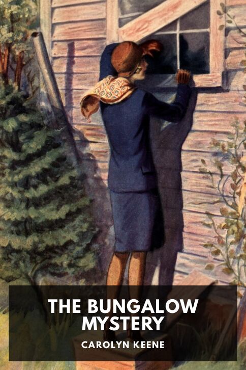 Typing practice book cover: The Bungalow Mystery