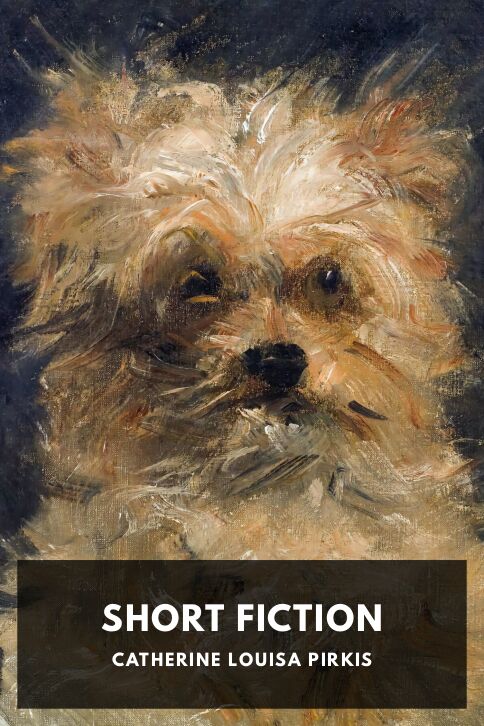 Typing practice story cover: Short Fiction
