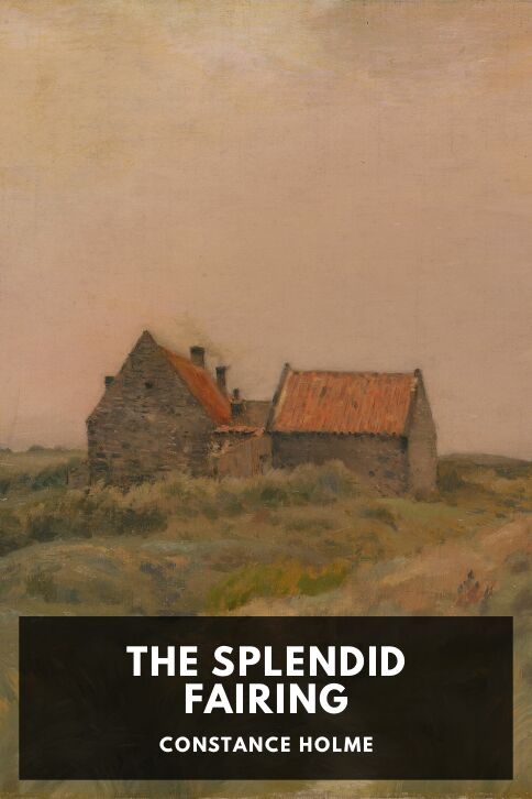 Typing practice story cover: The Splendid Fairing