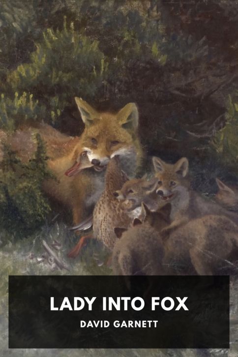 Typing practice book cover: Lady Into Fox
