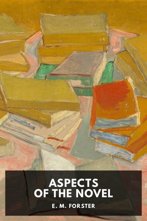 Typing practice story cover: Aspects of the Novel