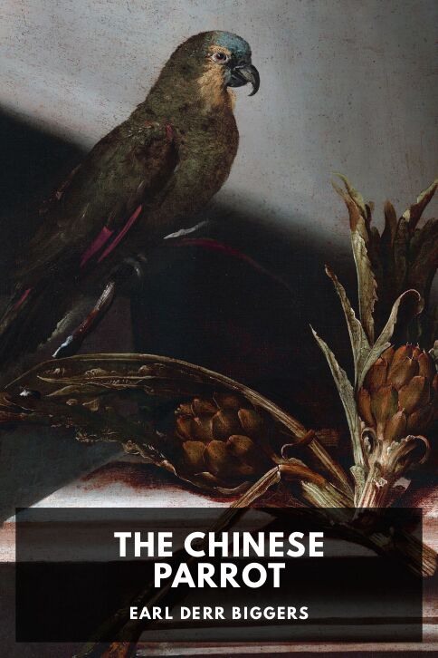 Typing practice book cover: The Chinese Parrot