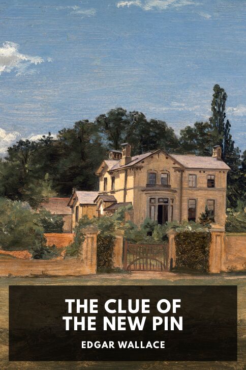 Typing practice story cover: The Clue of the New Pin