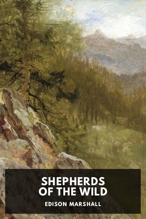 Typing practice story cover: Shepherds of the Wild