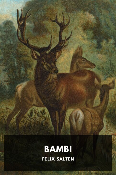 Typing practice story cover: Bambi