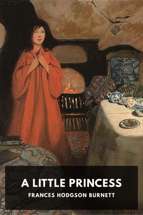 Typing practice book cover: A Little Princess