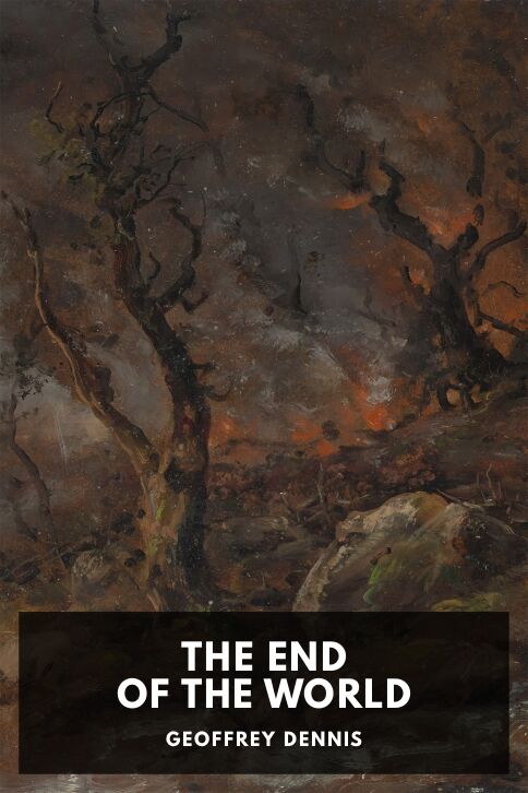 Typing practice story cover: The End of the World
