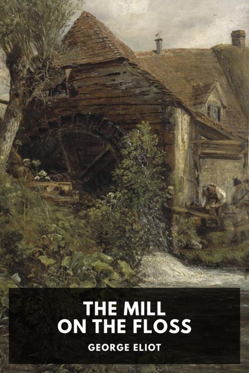 Typing practice book cover: The Mill on the Floss