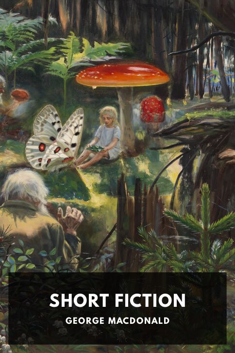 Typing practice book cover: Short Fiction
