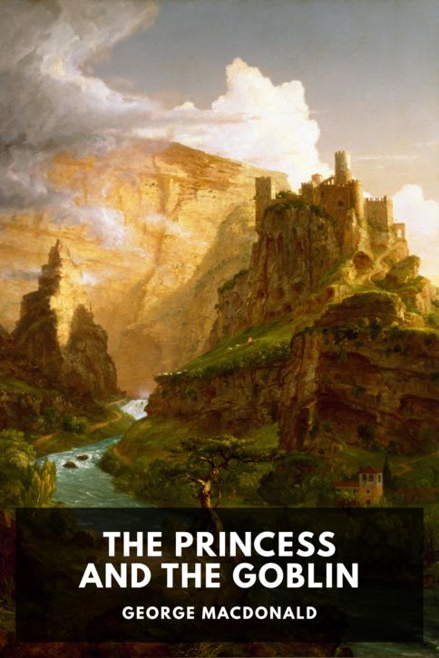 Typing practice book cover: The Princess and the Goblin