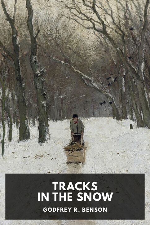 Typing practice story cover: Tracks in the Snow