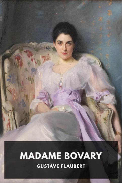 Typing practice story cover: Madame Bovary