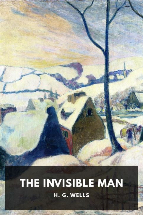 Typing practice book cover: The Invisible Man