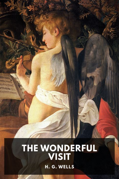 Typing practice story cover: The Wonderful Visit