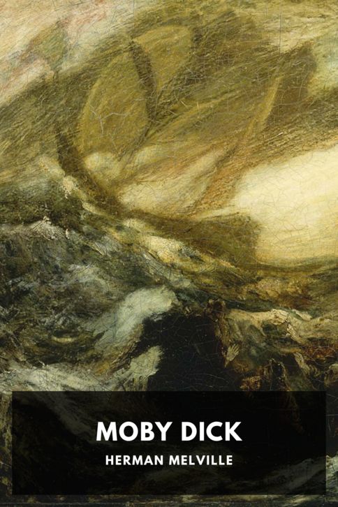 Typing practice book cover: Moby Dick