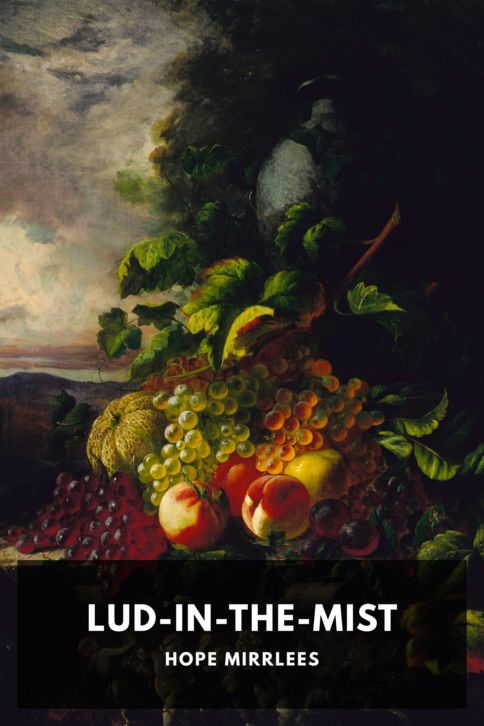 Typing practice book cover: Lud-in-the-Mist