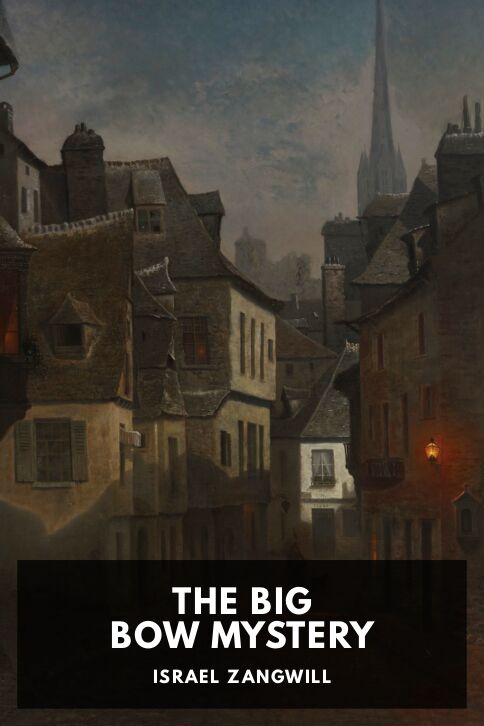 Typing practice book cover: The Big Bow Mystery