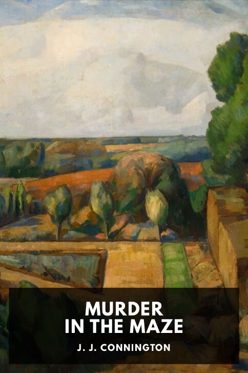 Typing practice book cover: Murder in the Maze