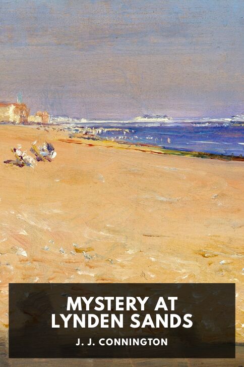 Typing practice book cover: Mystery at Lynden Sands