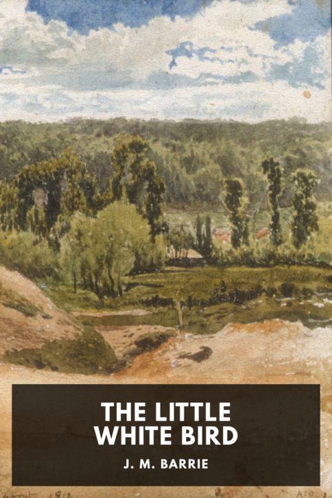 Typing practice book cover: The Little White Bird