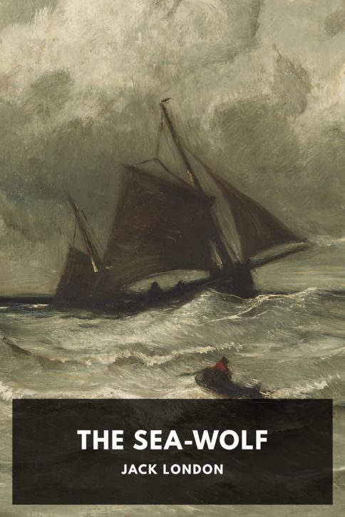 Typing practice book cover: The Sea-Wolf