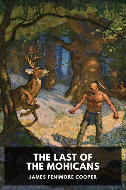 Typing practice book cover: The Last of the Mohicans