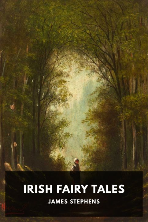 Typing practice book cover: Irish Fairy Tales