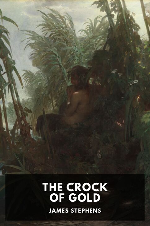 Typing practice book cover: The Crock of Gold