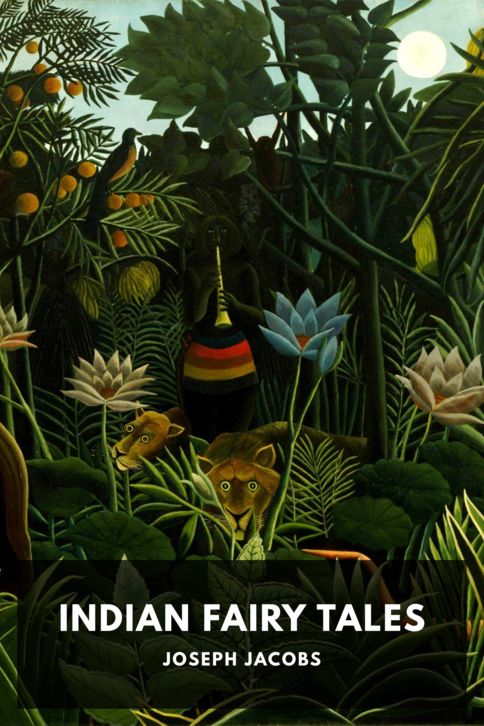 Typing practice story cover: Indian Fairy Tales
