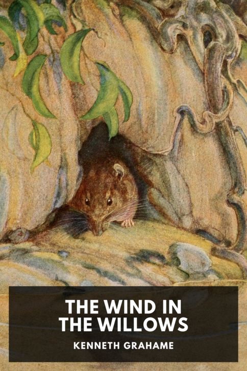 Typing practice book cover: The Wind in the Willows