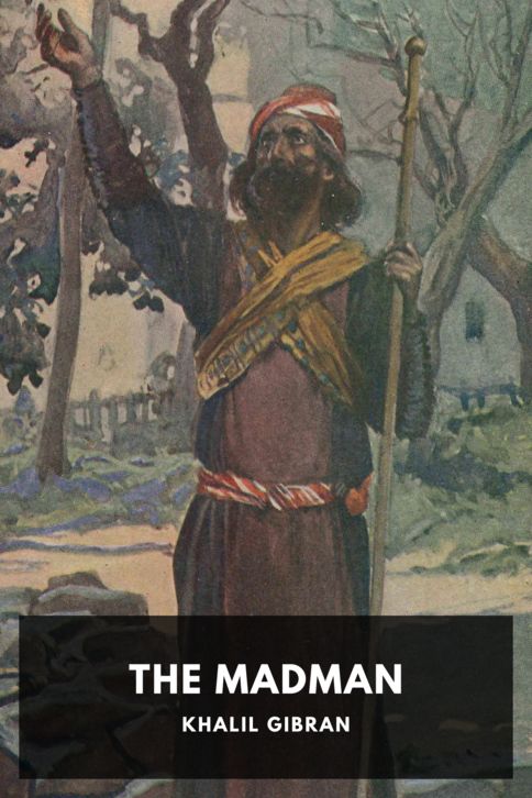 Typing practice book cover: The Madman