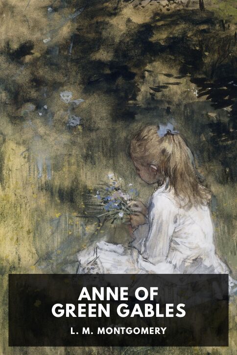 Typing practice story cover: Anne of Green Gables