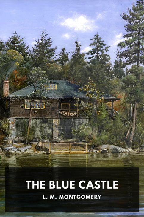 Typing practice book cover: The Blue Castle