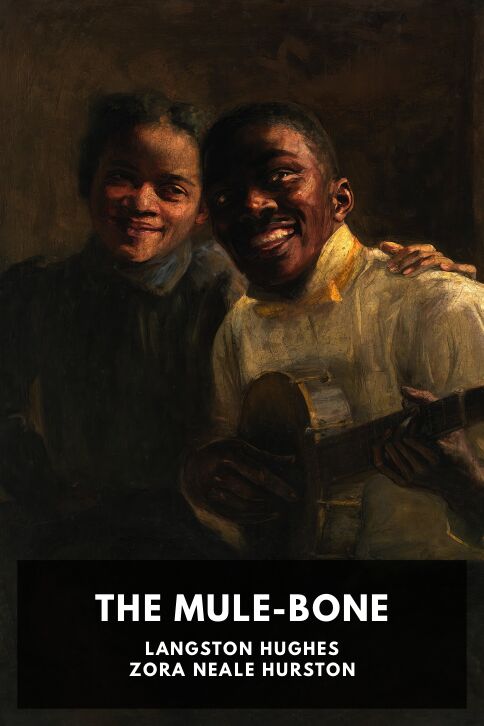 Typing practice story cover: The Mule-Bone
