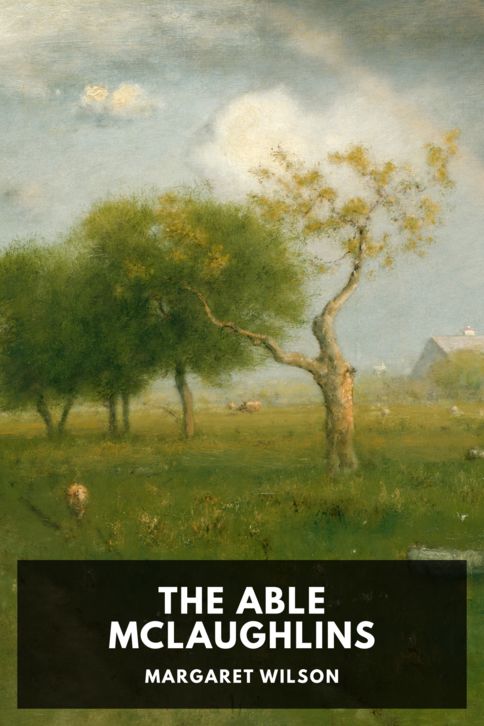 Typing practice story cover: The Able McLaughlins