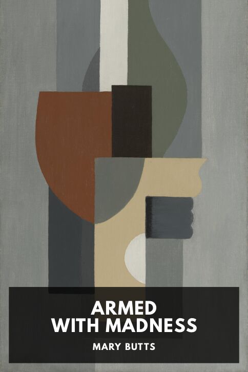 Typing practice story cover: Armed with Madness